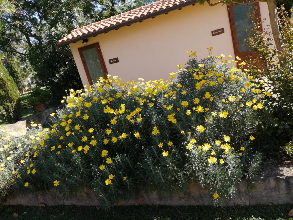 Il Podere Di Sole Рокастрада Екстериор снимка