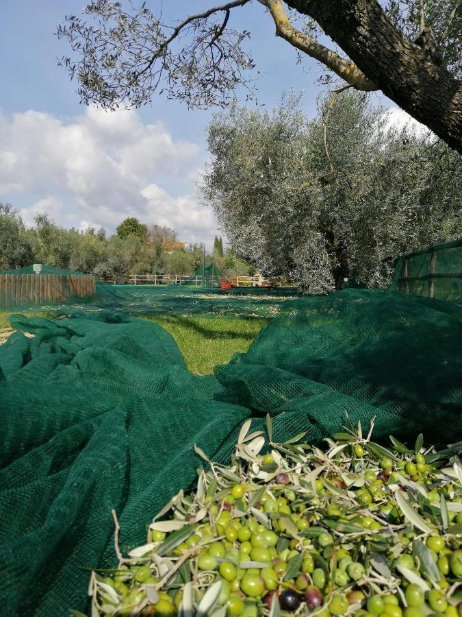 Il Podere Di Sole Рокастрада Екстериор снимка