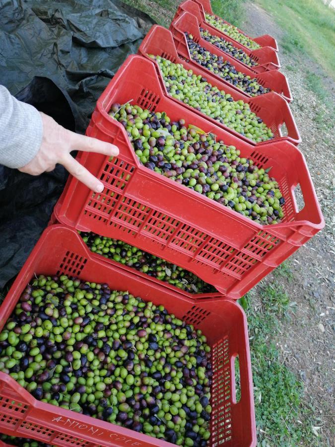 Il Podere Di Sole Рокастрада Екстериор снимка