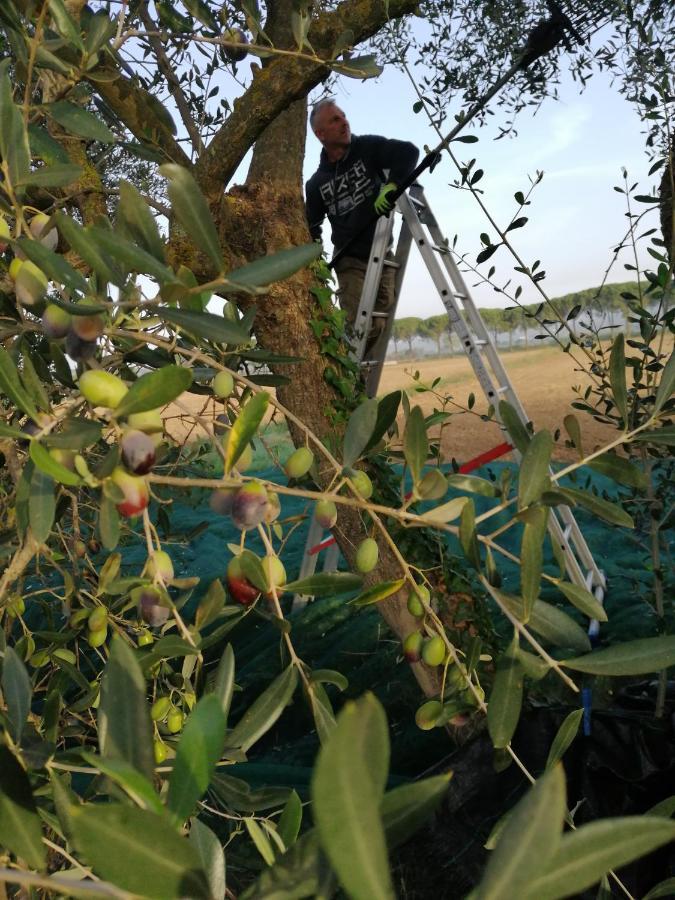 Il Podere Di Sole Рокастрада Екстериор снимка