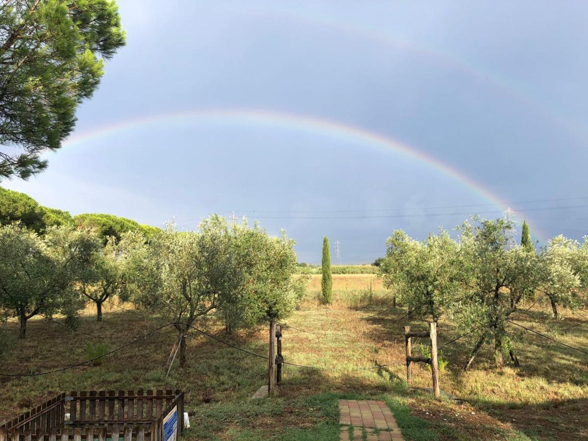 Il Podere Di Sole Рокастрада Екстериор снимка